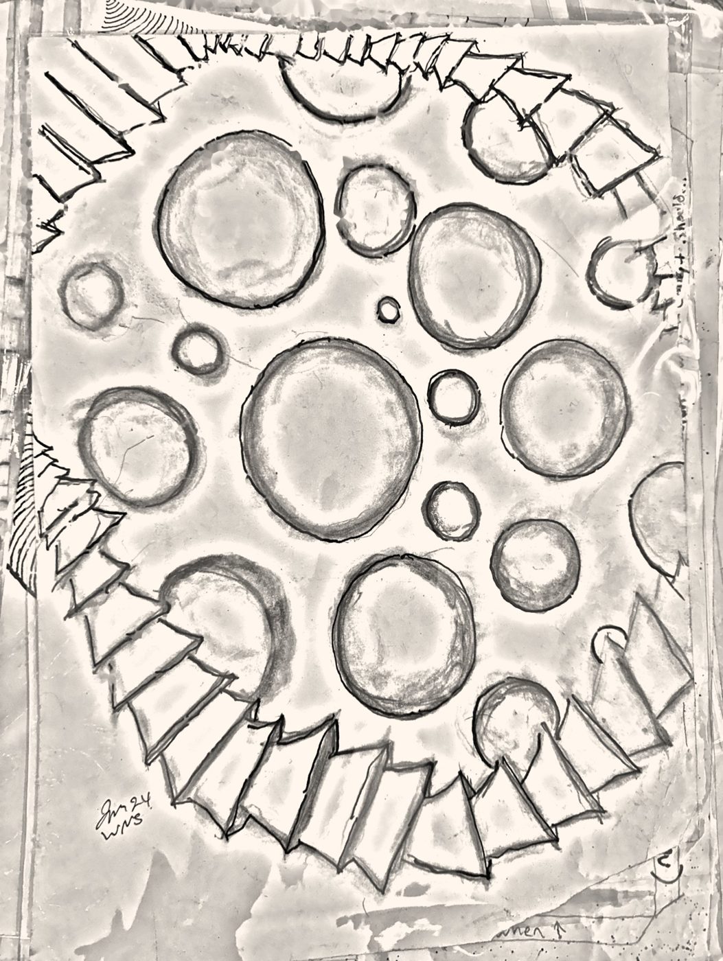 Multi-pencil drawing of circular cells inside a toothed rim